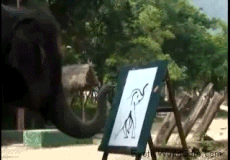 Chú voi tài năng tự họa chân dung của mình.