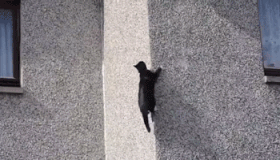 Trèo tường như người nhện.