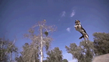 Pha nhảy trên không rất cao và xa.