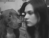 Người bạn tốt và cực kỳ thân thiện của cô chủ đáng yêu.