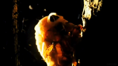 Lớp vỏ ngoài bám chặt trên thân cây.