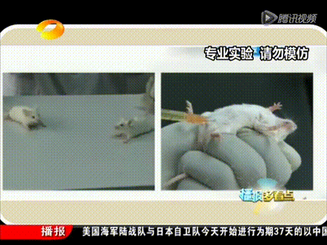 Be gai chet vi ung thu phoi, nguoi bo nga quy khi biet ly do