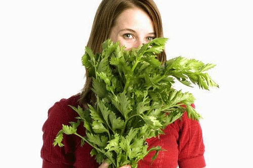 Hạt cần tây có đặc tính kháng khuẩn và đã được sử dụng để chống nhiễm trùng trong nhiều thế kỷ. Việc sử dụng chiết xuất cần tây sẽ giúp chống lại nhiễm khuẩn, cải thiện hệ thống miễn dịch và ức chế sự phát triển của vi khuẩn. Ảnh: adiva.