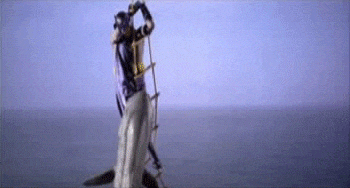 Cá nhám mèo đuôi gai (Filetail catsharks), một loài thuộc họ cá mập có sở hữu một chiếc đuôi với những cái gai sắc nhọn như muốn nói với kẻ thù “Ta có mắt ở sau lưng đấy, hãy cẩn thận”. Đây cũng là bài học cuộc sống mà con người có thể đúc rút từ cá mập, rằng luôn phải cẩn thận đề phòng, đặc biệt là những kẻ thù tấn công từ phía sau.