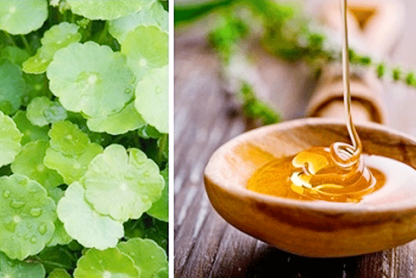 Bạn có thể trộn 2 thìa mật ong với nước ép rau má cho dễ uống. Ảnh: blogspot.