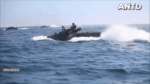 Được biết lệnh này được đưa ra sau khi thiết giáp lội nước AAV7A1 gặp một tai nạn nghiêm trọng dẫn tới chìm xe làm 8 binh sĩ Mỹ thiệt mạng.