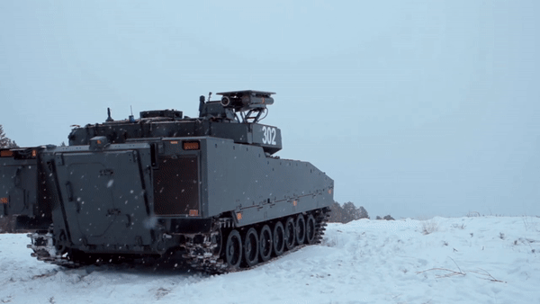 Các biến thể chính của dòng thiết giáp này có thể kể đến: CV9040 - lắp pháo 40 mm. Biến thể này đang phục vụ cho Thụy Điển và không xuất khẩu.