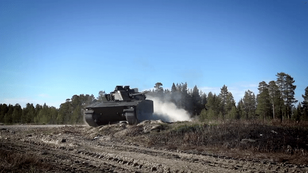 Các khẩu pháo trang bị cho dòng thiết giáp này đều có hệ thống ổn định tâm hướng, vì thế chúng có thể khai hỏa ngay cả khi hành tiến.