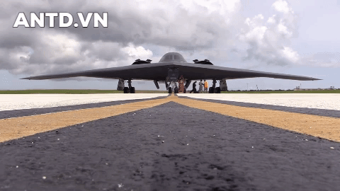 Cánh trên toàn bộ các phi cơ đều có độ dẻo đáng nể.