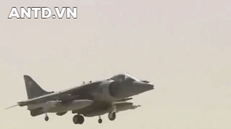 Được biết AV-8B Harrier II nổi tiếng là dòng máy bay có tỷ lệ tai nạn cao nhất nhất thế giới. Lực lượng Thủy quân lục chiến Mỹ đã mất đi 1/3 trong số 397 máy bay AV-8B do tai nạn trong 32 năm.