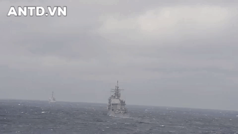 Cuộc diễn tập nhằm cải thiện khả năng hiệp đồng giữa quân đội các nước tham gia. Kịch bản xoay quanh nguy cơ bùng phát khủng hoảng do các nhóm vũ trang trên lãnh thổ Ukraine, đòi hỏi các nước liên quân triển khai lực lượng ổn định tình hình.