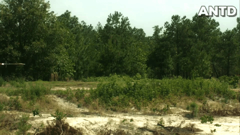 Với nhiều loại đạn được trang bị có đường kính từ 40 tới 105mm, súng RPG-7 có thể vô hiệu hóa hầu hết những xe tăng và xe bọc thép hiện đại ngày nay.