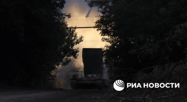 Họ chủ yếu thực hiện các nhiệm vụ nhỏ lẻ, rất khác với hoạt động quy mô lớn của quân đội chính quy Nga.