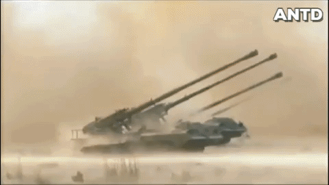 Vào năm 2010, pháo binh nước này đã đạt số lượng 21.100 khẩu, hiện nay con số này đang tiếp tục tăng lên và rơi vào khoảng 22.000 khẩu pháo các loại.