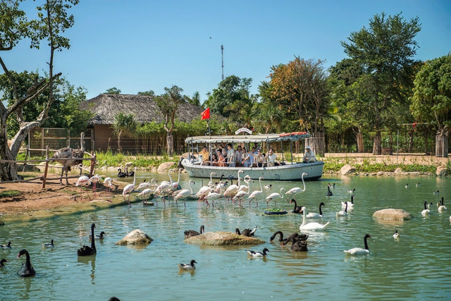 Khám phá thiên nhiên kỳ thú tại River Safari. Ảnh: VinWonders. 1-124.jpg