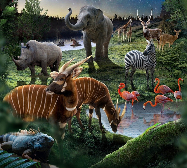 Night Safari – tour khám phá thế giới động vật về đêm. Ảnh: VinWonders. 4.jpg