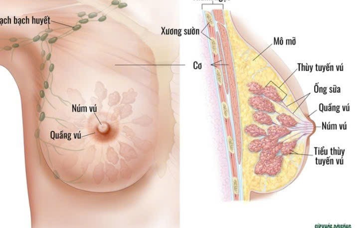 Ảnh minh hoạ/ Nguồn: Internet 3.jpg