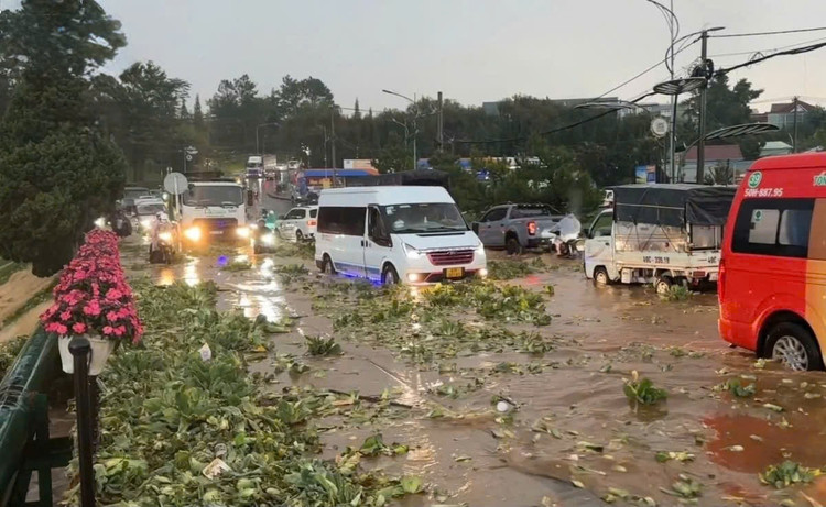 Mưa lớn gây ngập úng cục bộ nhiều khu vực tại Đà Lạt 3.jpg