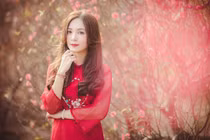 “Hot girl đồng phục” mặc áo dài rạng rỡ bên hoa đào đón Tết