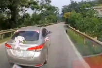 Video: Ôtô phanh gấp tránh con chó lao sang đường suýt bị xe sau đâm phải