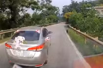 Video: Ôtô phanh gấp tránh con chó lao sang đường suýt bị xe sau đâm phải