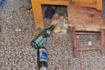 Sau cuộc xô xát vì không nấu cơm tối cho vợ, ông lão tử vong