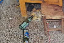 Sau cuộc xô xát vì không nấu cơm tối cho vợ, ông lão tử vong