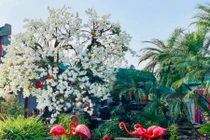 Tôi đã thành ông chủ mà vợ vẫn ngoại tình