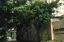 Hàng chục xe máy biến mất khỏi chung cư Tecco Towers 