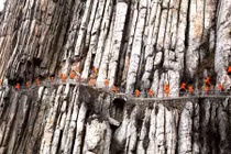 Choáng ngợp luyện kung fu bên vách đá ở Trung Quốc