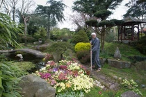 Độc đáo bãi cỏ hoang thành vườn hoa rực rỡ ở Anh