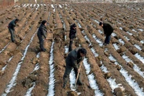 Ảnh ấn tượng về cuộc sống đời thường Triều Tiên