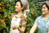 Ngắm nhan sắc phụ nữ Triều Tiên cuối thập niên 1970