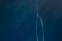 Mãn nhãn vẻ đẹp sáng chói của “Mỹ nhân ngư”