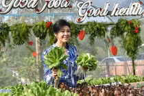 Cựu Thủ tướng Thái Lan Yingluck tươi tắn ở nông trang