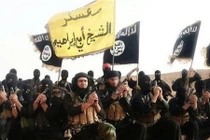 Phiến quân IS bắn hạ máy bay Syria