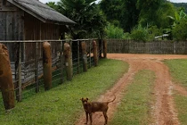 Chùm ảnh bom đạn Mỹ vẫn rình rập khắp nước Lào 