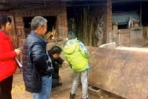 Ngã ngửa nông dân dùng cổ vật trăm năm làm... thớt băm rau