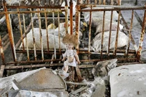 Cảm giác khó tả ở “Thị trấn ma” Chernobyl 2016