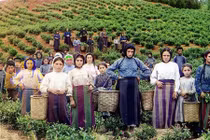 Chùm ảnh về đất nước Nga trước Cách mạng tháng Mười 1917