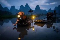 Chùm ảnh ngư dân Trung Quốc bắt cá bằng chim cốc 