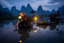 Chùm ảnh ngư dân Trung Quốc bắt cá bằng chim cốc 