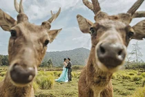 Chiêm ngưỡng những bức ảnh cưới hài hước khó đỡ