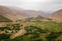 Phát hoảng vợ chết 2 năm bỗng xuất hiện trên ti vi