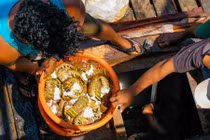 Gian nan công việc lặn bắt tôm hùm ở Nicaragua