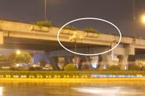 Kinh hãi người treo cổ chết dưới gầm cầu vượt