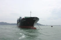 Vụ chìm tàu: Thêm 2 ngư dân được tìm thấy