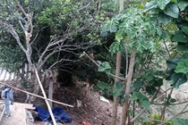 Đùa nghịch gần nhà, trẻ 6 tuổi bị bế ra sau vườn dâm ô