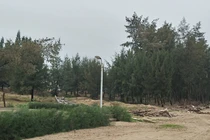 Bán đất nông nghiệp tại huyện Quảng Xương, lãnh đạo thi nhau bị khởi tố, điều chuyển