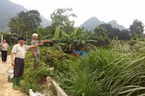 Sơn La: Cán bộ xã “ăn” cả ao cá lẫn đất công